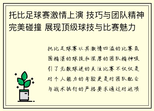 托比足球赛激情上演 技巧与团队精神完美碰撞 展现顶级球技与比赛魅力